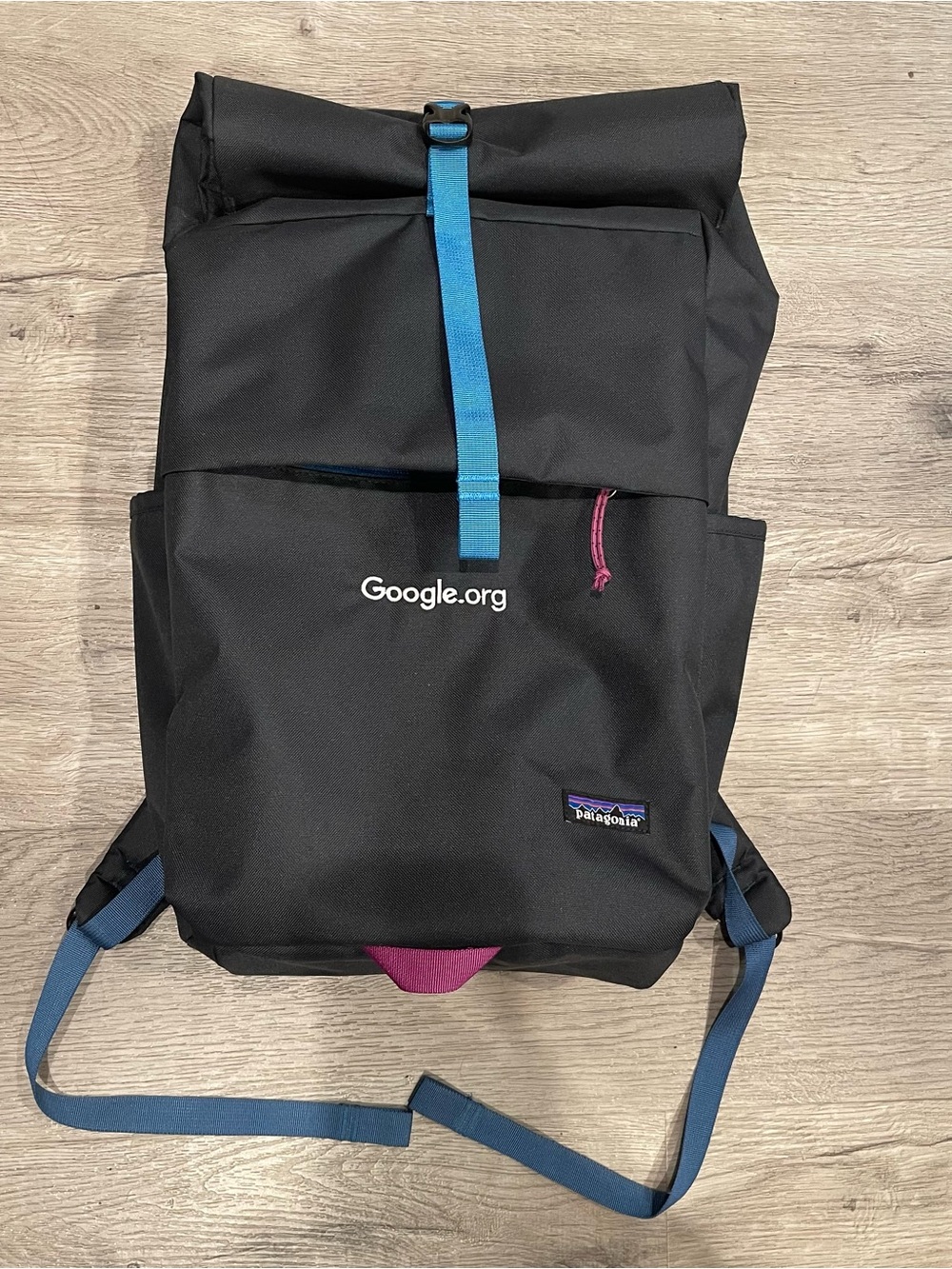 Patagonia Roll-Top Pack Backpack Dark Gray Custom Google.org logo Pink Interior